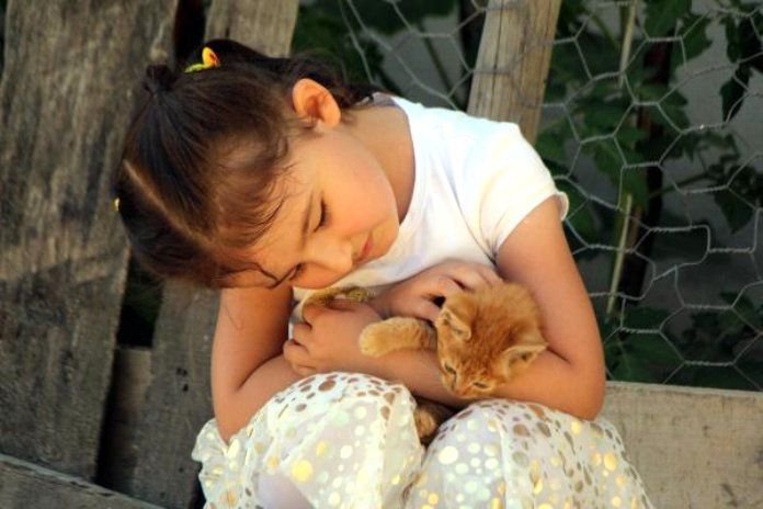 MİNİK KIZIN MERHAMETİ TÜRKİYE GÜNDEMİNDE