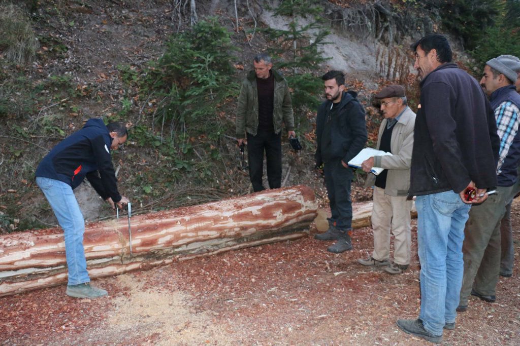 MUDURNU’DA ORMAN EĞİTİMİ