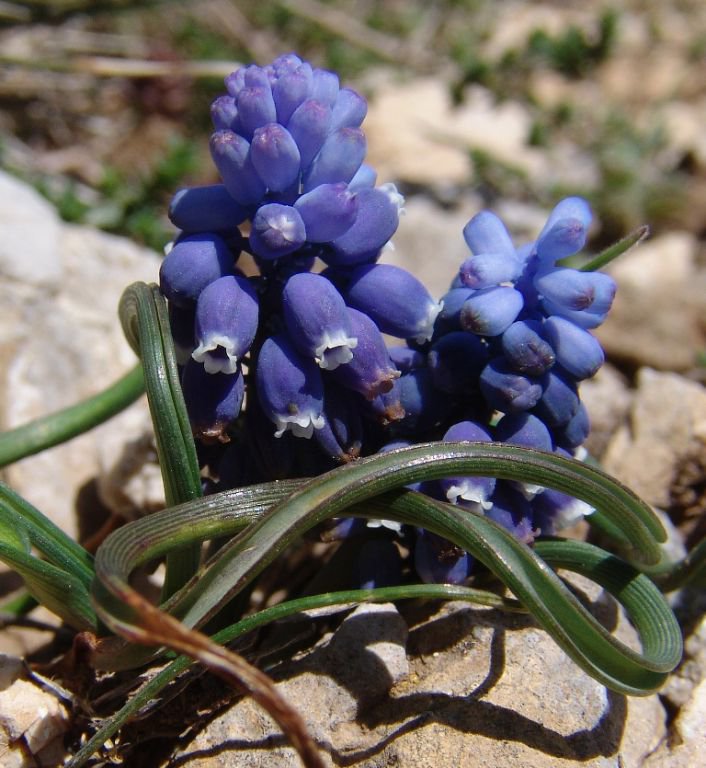 ÖĞRETİM ÜYESİNDEN BÜYÜK JEST