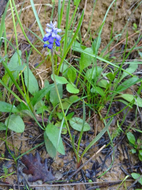 ÖĞRETİM ÜYESİNDEN BÜYÜK JEST
