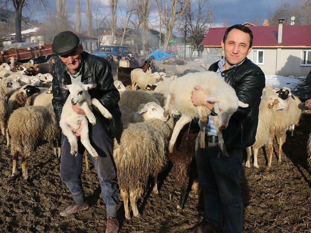 "ÖNCE EVLAT SONRA KOYUNLAR"