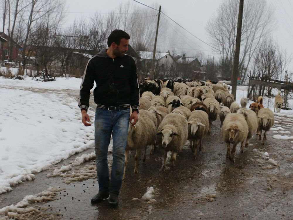 "ÖNCE EVLAT SONRA KOYUNLAR"