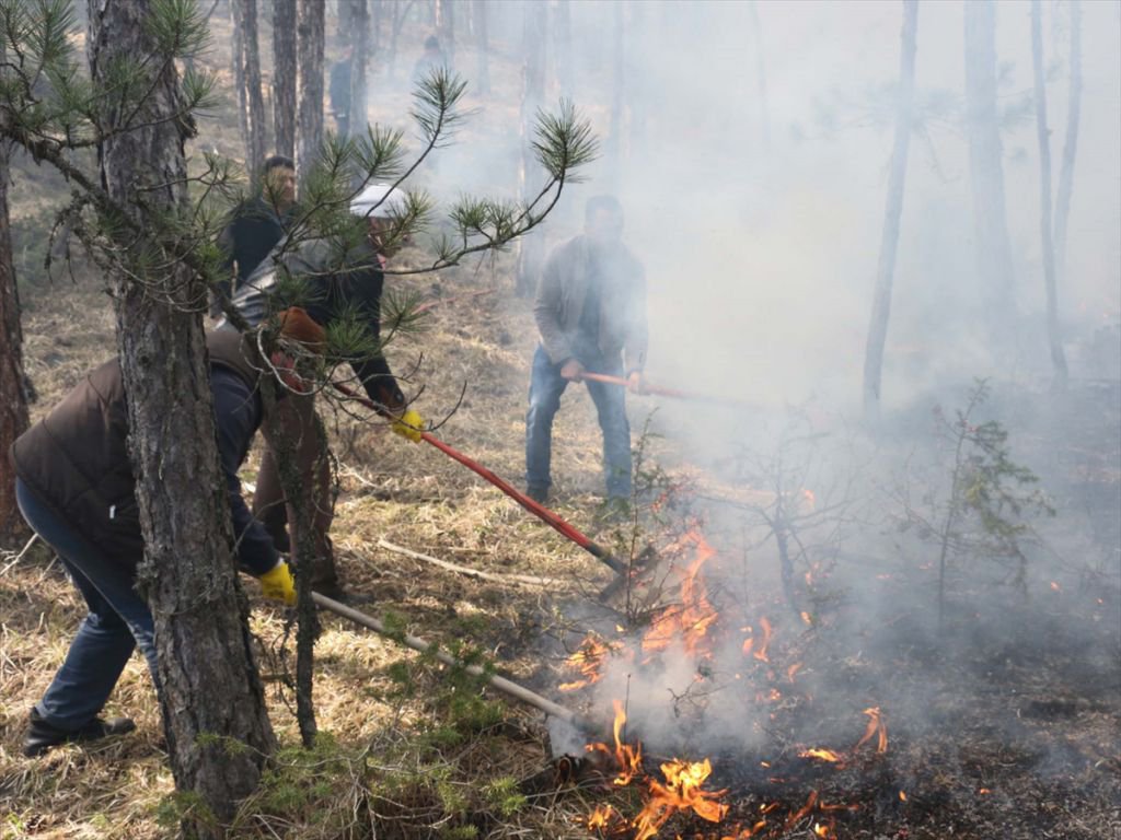 ORMAN YANGINI KORKUTTU