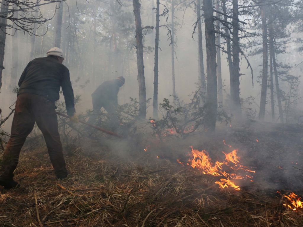 ORMAN YANGINI KORKUTTU