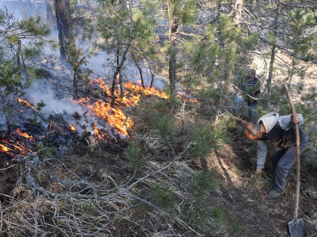 ORMAN YANGINI KORKUTTU