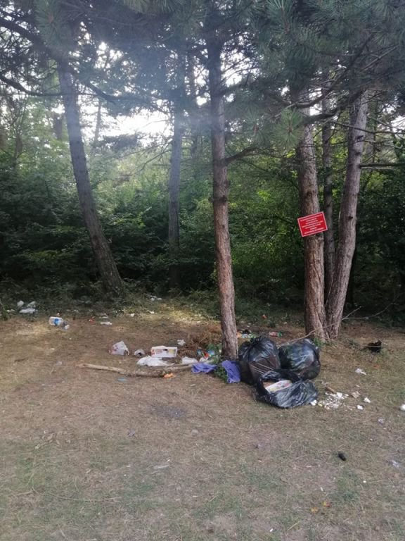 PİKNİKÇİ KİRLETTİ VATANDAŞ TEMİZLEDİ