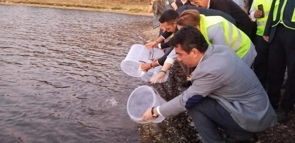 SEBEN’E ORGANİZE SERA BÖLGESİ
