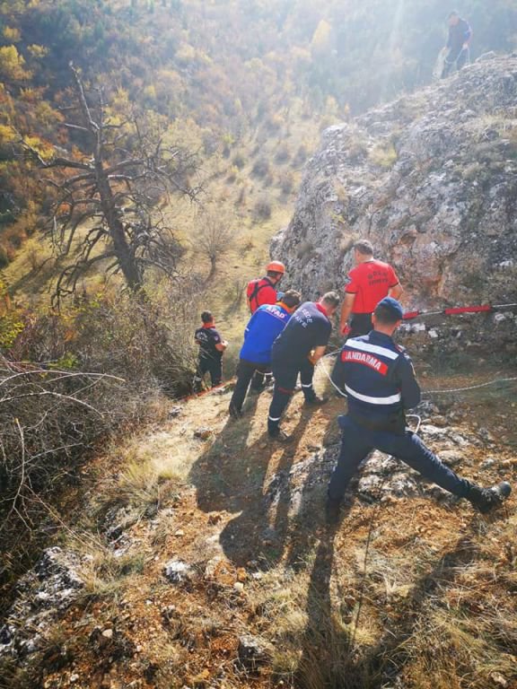 TALİHSİZ KEÇİLER UÇURUMDA MAHSUR KALDI