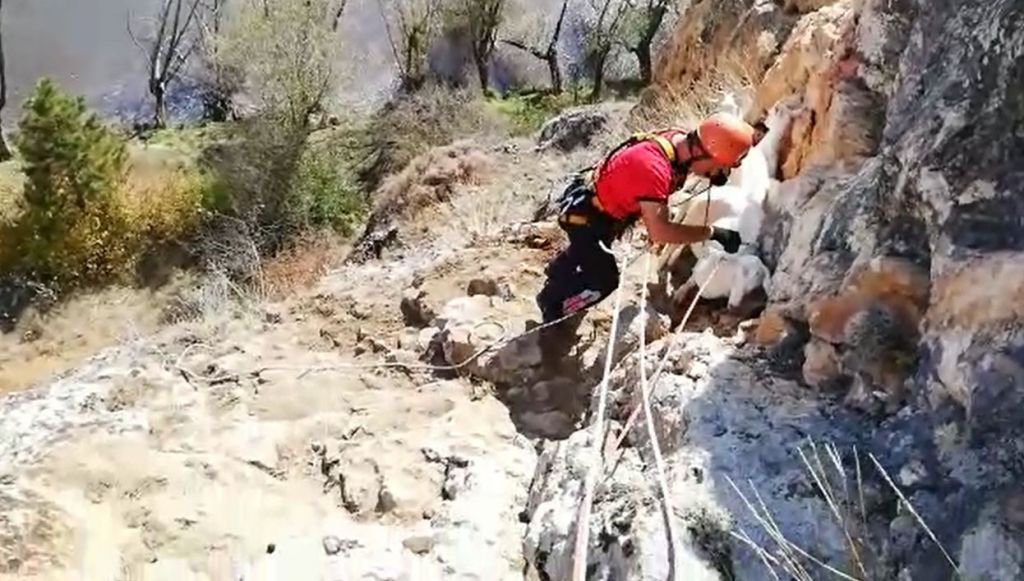 TALİHSİZ KEÇİLER UÇURUMDA MAHSUR KALDI