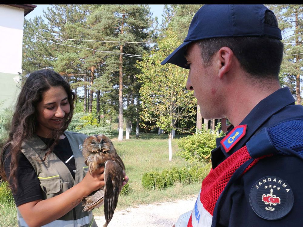 YARALI BAYKUŞUN YARDIMINA KOŞTULAR