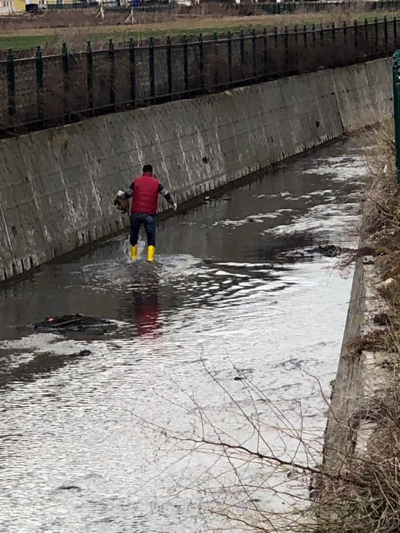 YAVRU KÖPEKLERİN İMDADINA VATANDAŞ YETİŞTİ