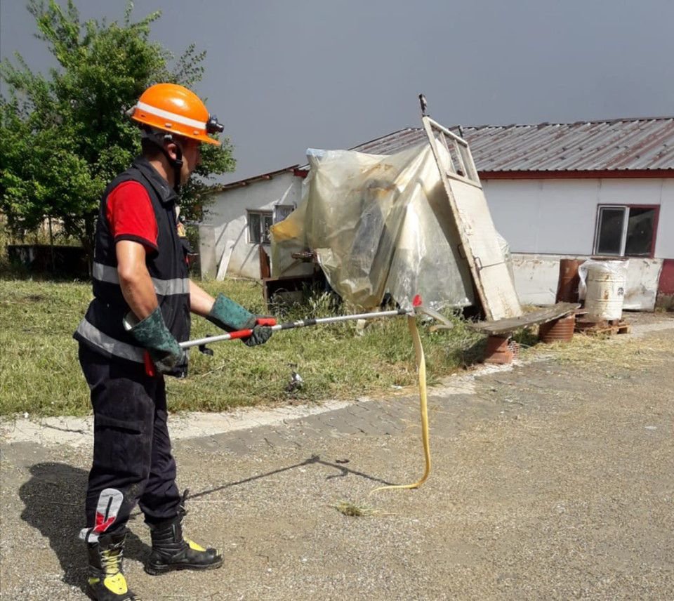 YILAN İŞYERİNE GİRDİ