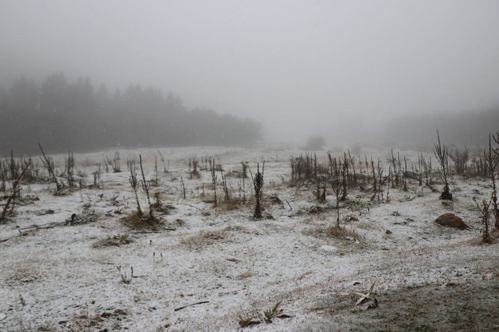 YILIN İLK KARI DÜŞTÜ....