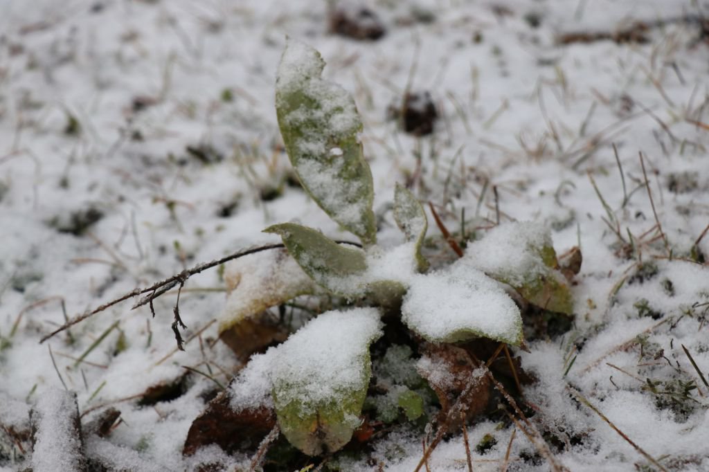 YILIN İLK KARI DÜŞTÜ....