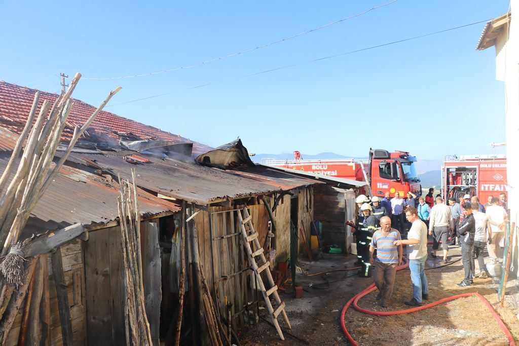 YÜZLERCE HİNDİ YANMAKTAN KURTARILDI