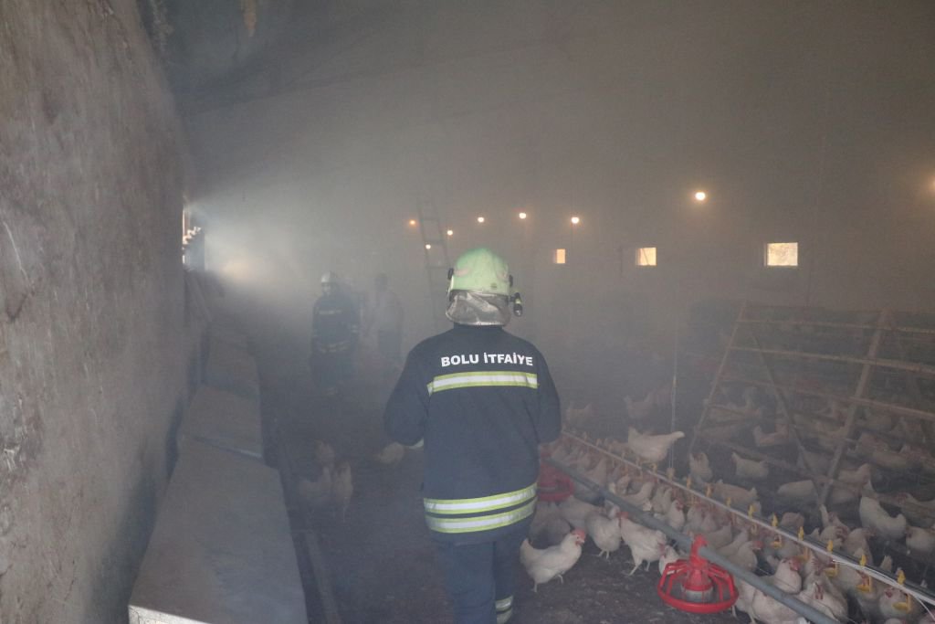 YÜZLERCE TAVUK YANGINDAN KURTARILDI