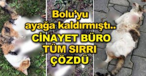 CİNAYET BÜRO SON NOKTAYI KOYDU