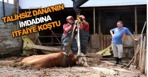 DANA'NIN İMDADINA İTFAİYE KOŞTU