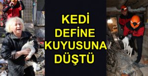 MİNİK KEDİ DEFİNECİLERİ İFŞA ETTİ