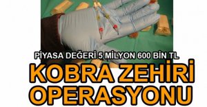 DEV KOBRA ZEHİRİ OPERASYONU