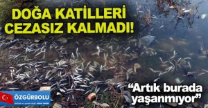 DOĞA KATİLLERİ CEZASIZ KALMADI