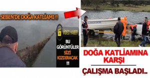 DOĞA KATLİAMINA KARŞI SAVAŞ BAŞLADI