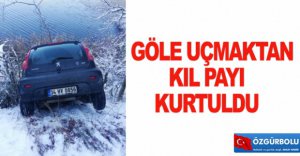 GÖLE UÇMAKTAN KIL PAYI KURTULDU
