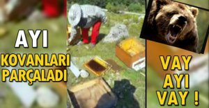 "GÖRDÜK, HİÇBİR ŞEY YAPAMADIK.."