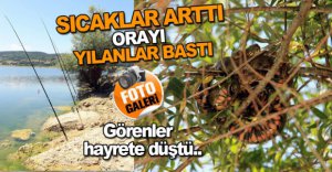 GÖRENLERİ HAYRETE DÜŞÜRDÜ..