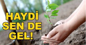 HAYDİ SEN DE GEL