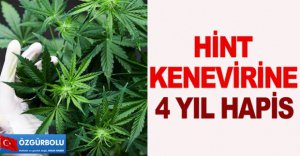 HİNT KENEVİRİNE 4 YIL HAPİS