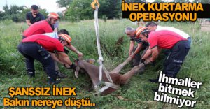 İNEK KURTARMA OPERASYONU