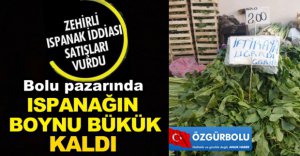 ISPANAĞIN BOYNU BÜKÜK KALDI