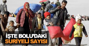 İŞTE BOLU'DAKİ SURİYELİ SAYISI