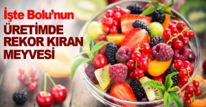 İŞTE BOLU'NUN REKOR KIRAN MEYVESİ