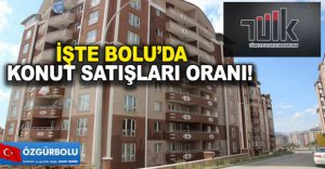İŞTE BOLU'DA KONUT SATIŞ ORANLARI