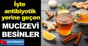 İŞTE MUTFAĞIMIZDAKİ ANTİBİYOTİKLER