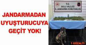 JANDARMADAN UYUŞTURUCUYA GEÇİT YOK