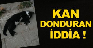 KAN DONDURAN İDDİA  !