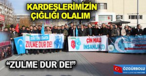 KARDEŞLERİMİZİN ÇIĞLIĞI OLALIM