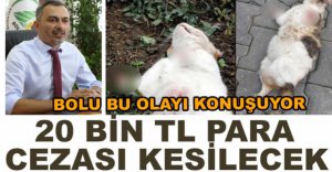 KEDİ BAŞINA 20 BİN TL CEZA KESİLECEK