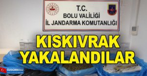 KISKIVRAK YAKALANDILAR