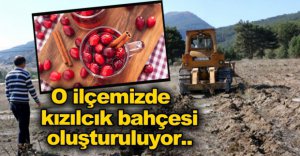 YETİŞECEK KIZILCIKLAR KÖY HALKINA DAĞITILACAK