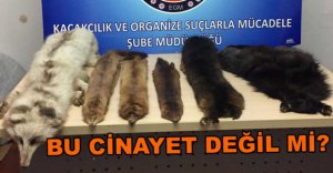 KOM'DAN HAYVAN POSTU OPERASYONU