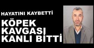 KÖPEK KAVGASINDA HAYATINI KAYBETTİ