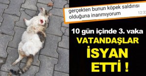 "KÖPEK SALDIRISI OLDUĞUNA İNANMIYORUZ"
