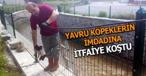 KÖPEKLERİN İMDADINA İTFAİYE KOŞTU