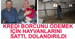 KREDİ BORCU İÇİN HAYVANLARINI SATTI, DOLANDIRILDI