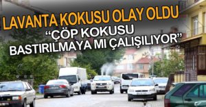 LAVANTA KOKUSU OLAY OLDU....