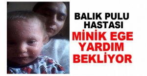 MİNİK EGE YARDIM BEKLİYOR